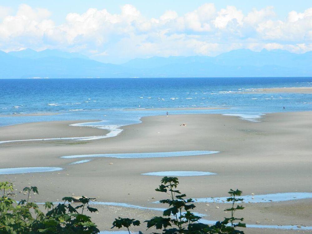 The Tide'S Inn Parksville Eksteriør billede
